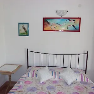 Artistika Golden Capitana